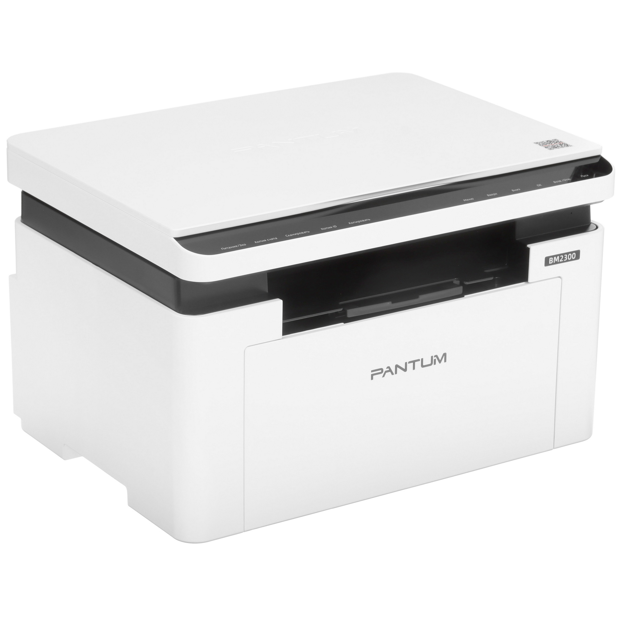МФУ лазерный Pantum BM2300, A4, ч/б, печ./скан. до 22 стр/мин, 1200 x 1200 dpi, USB