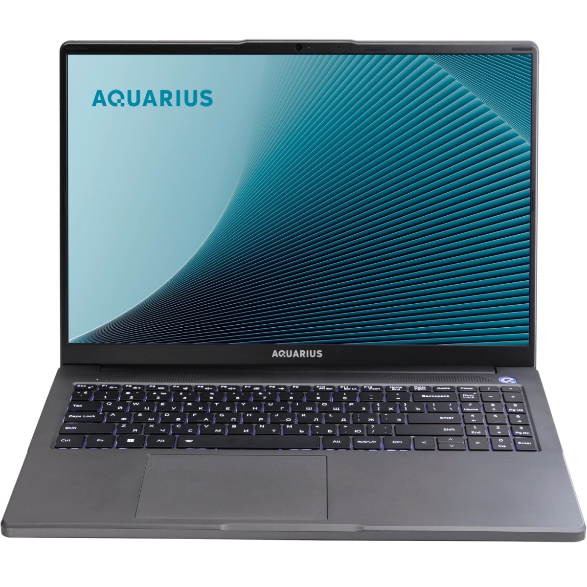 Ноутбук Aquarius Cmp NE356 Ryzen 5 6600H 8Gb SSD256Gb 16" без ОС WiFi BT Cam (NE356153318S125SCN2TNN