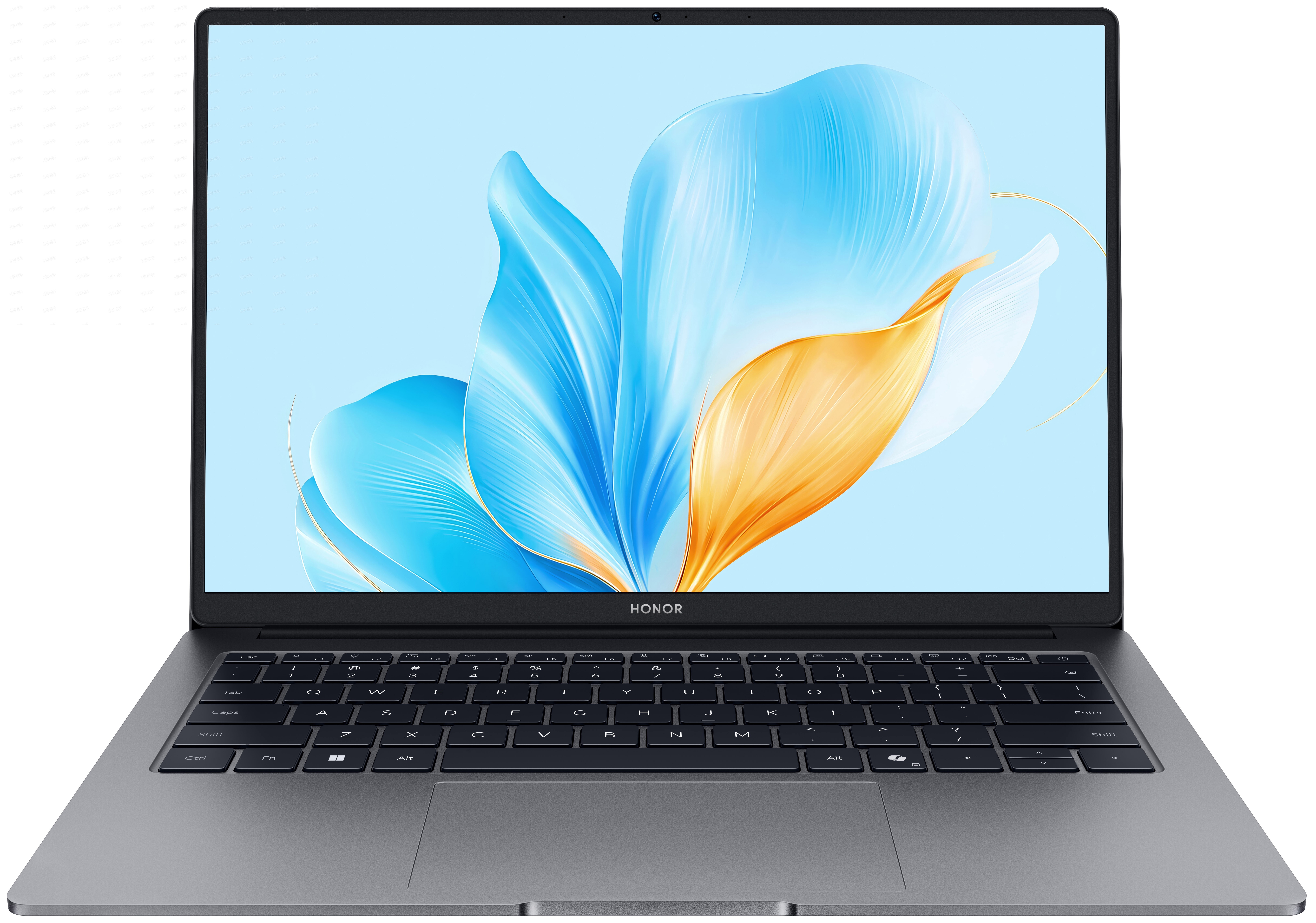 Ноутбук Honor MagicBook X14 2025 FRG-X Space Gray (5301ALXJ)