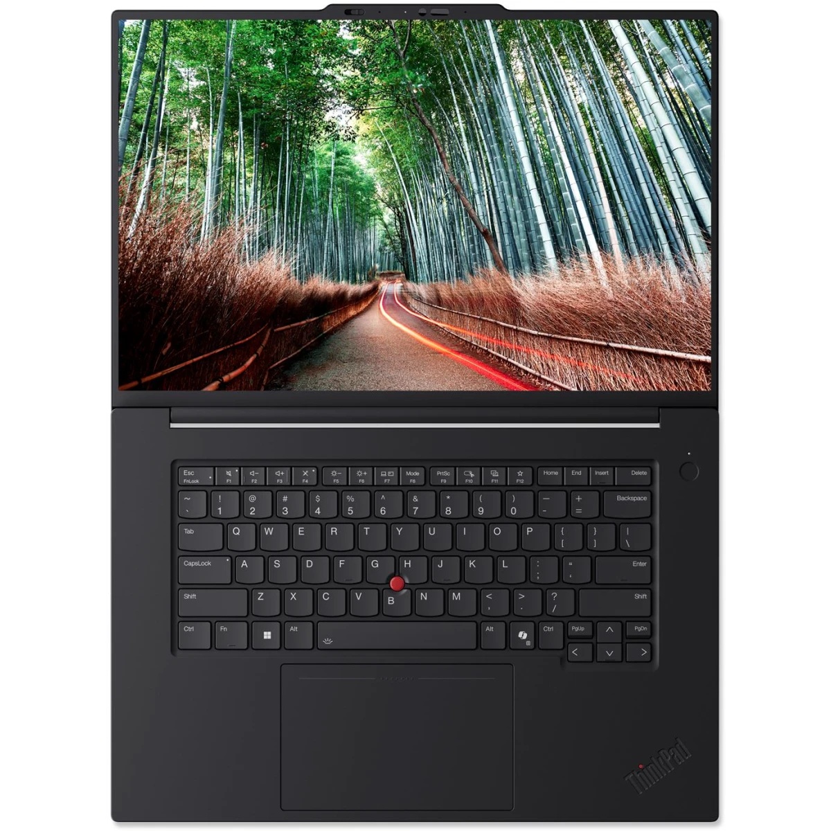 Ноутбук ThinkPad P1 Gen 8 16" WQUXGA (3840x2400) IPS 800N, Ultra 7 265H, 1x32GB LPDDR5x-7467, 1TB SS