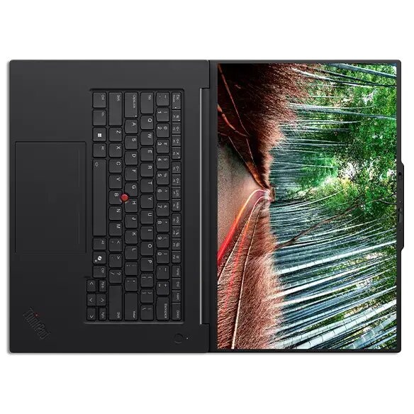 Ноутбук Lenovo ThinkPad P1 G8 16" WQUXGA (3840 x 2400) IPS AG HDR 400 100%DCI-P3 800 nits, U9 285H,