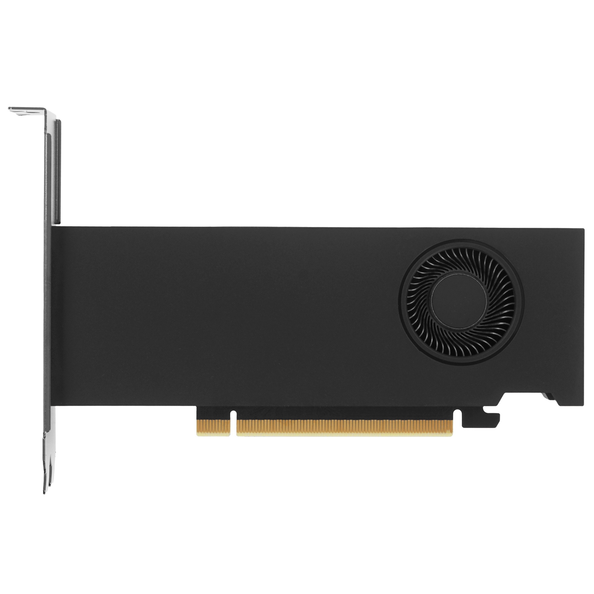 Видеокарта Nvidia RTX 2000 Ada Generation