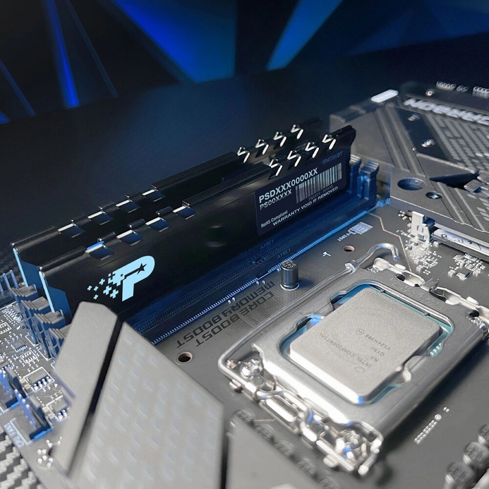 Оперативная память Patriot Signature Premium, DDR5, 16GB (1x16 GB), 5200 MHz, CL42, радиатор, черный