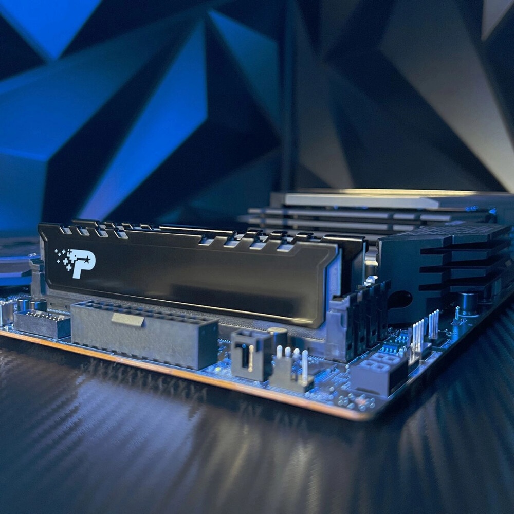 Оперативная память Patriot Signature Premium, DDR5, 16GB (1x16 GB), 5200 MHz, CL42, радиатор, черный