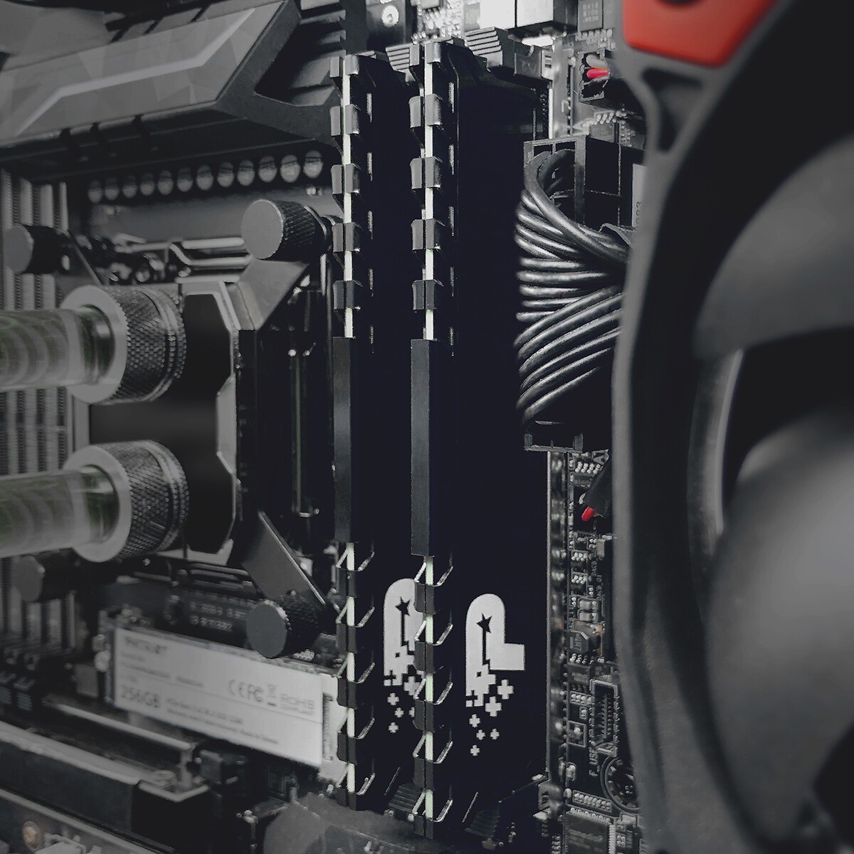 Оперативная память NETAC Shadow S, DDR4, 16GB (1x16 GB), 2666 MHz, CL19, радиатор, белый