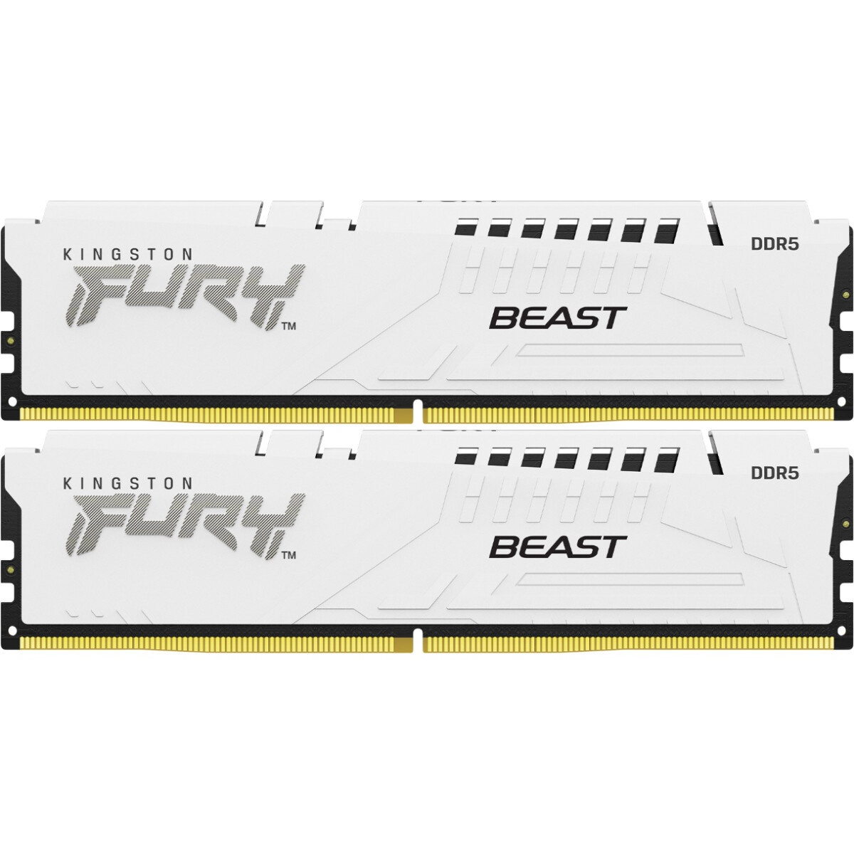 Оперативная память Netac Z, DDR5, 32GB (2x16 GB), 6800 MHz, CL34, ECC, радиатор, RGB, серебристый