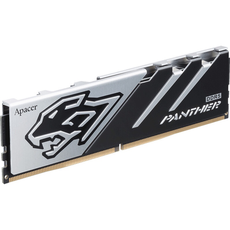 Оперативная память Netac Shadow II, DDR5, 16GB (1x16 GB), 6000 MHz, CL38, радиатор, RGB, белый