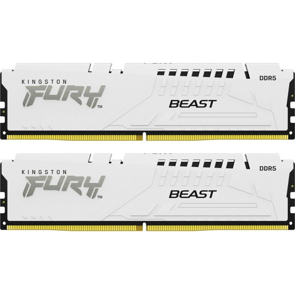 Оперативная память Netac Shadow II, DDR5, 32GB (2x16GB), 5600 MHz, CL46, с радиатором, RGB, белый