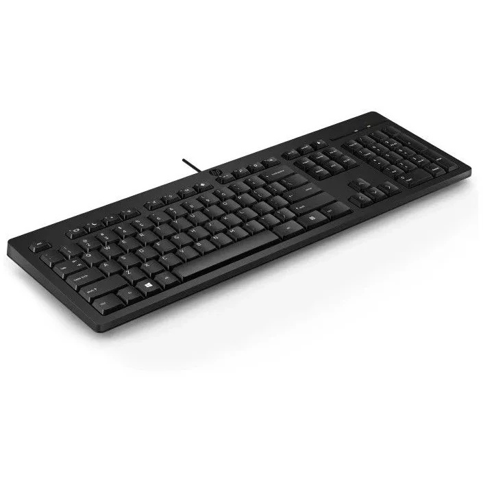 Клавиатура HP 125 механическая черный USB (M27527-061)