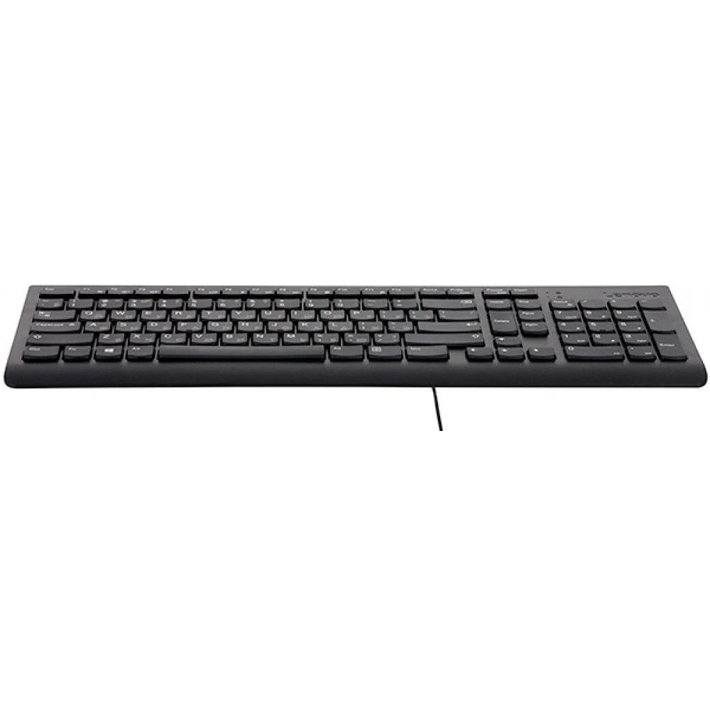 Клавиатура Lenovo [GX30M39684] 300 USB Keyboard