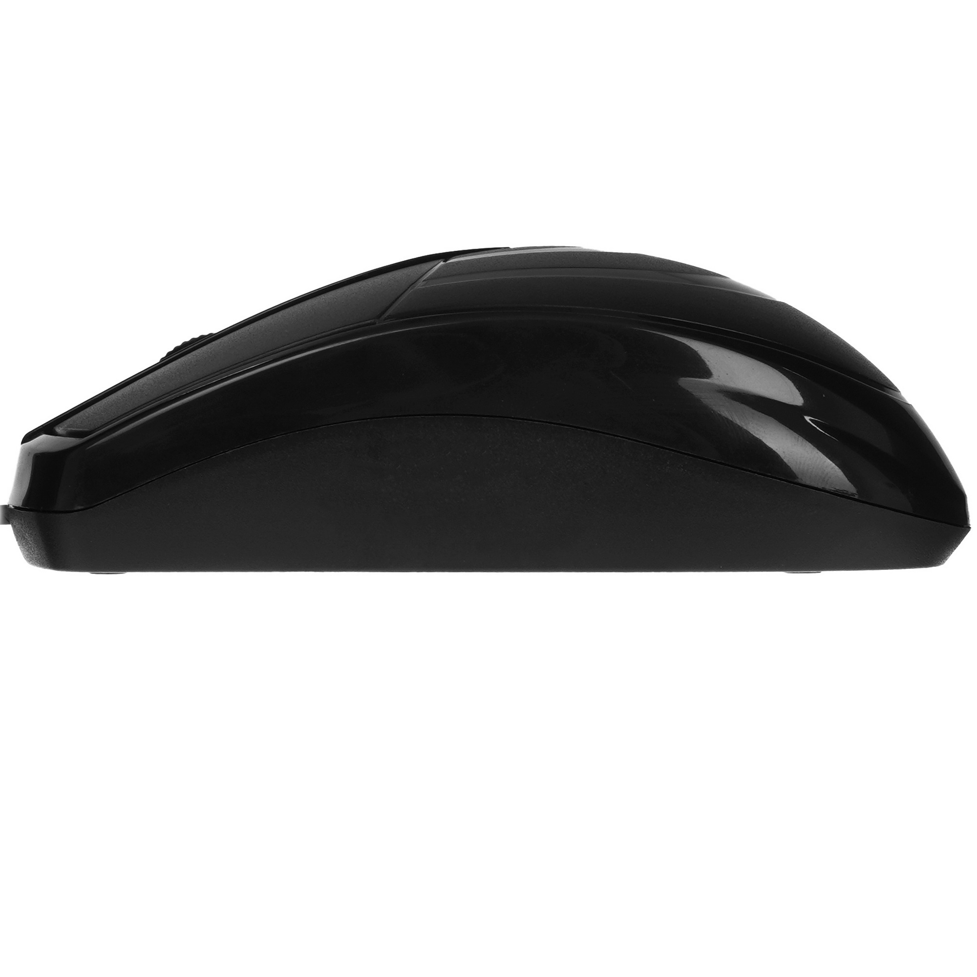 Мышь проводная ExeGate Professional Standard SH-8025 черный, 1000 dpi, USB, кнопки - 3