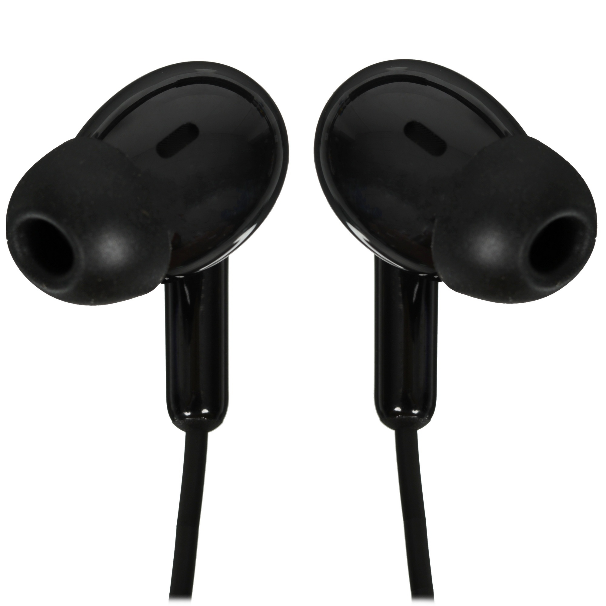 Наушники Xiaomi Type-C Earphones черный M2413E1