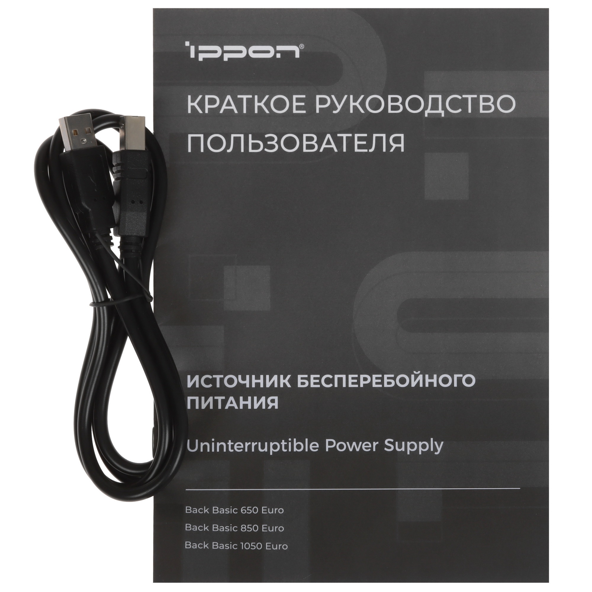 Источник бесперебойного питания Ippon Back Basic 1050 Euro Line-interactive 600W/1050VA RTL {4} (279437)