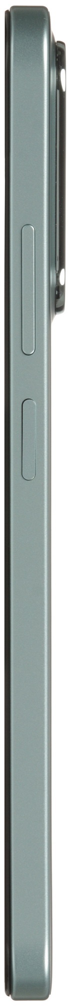 Смартфон POCO C85 8/256Gb зеленый (MZB0LFLRU)