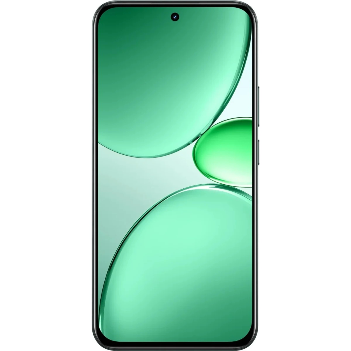 Смартфон Realme RMX5555 C85 Pro 256Gb 8Gb темно-зеленый моноблок 3G 4G 6.72" 1080x2400 Android 14 50