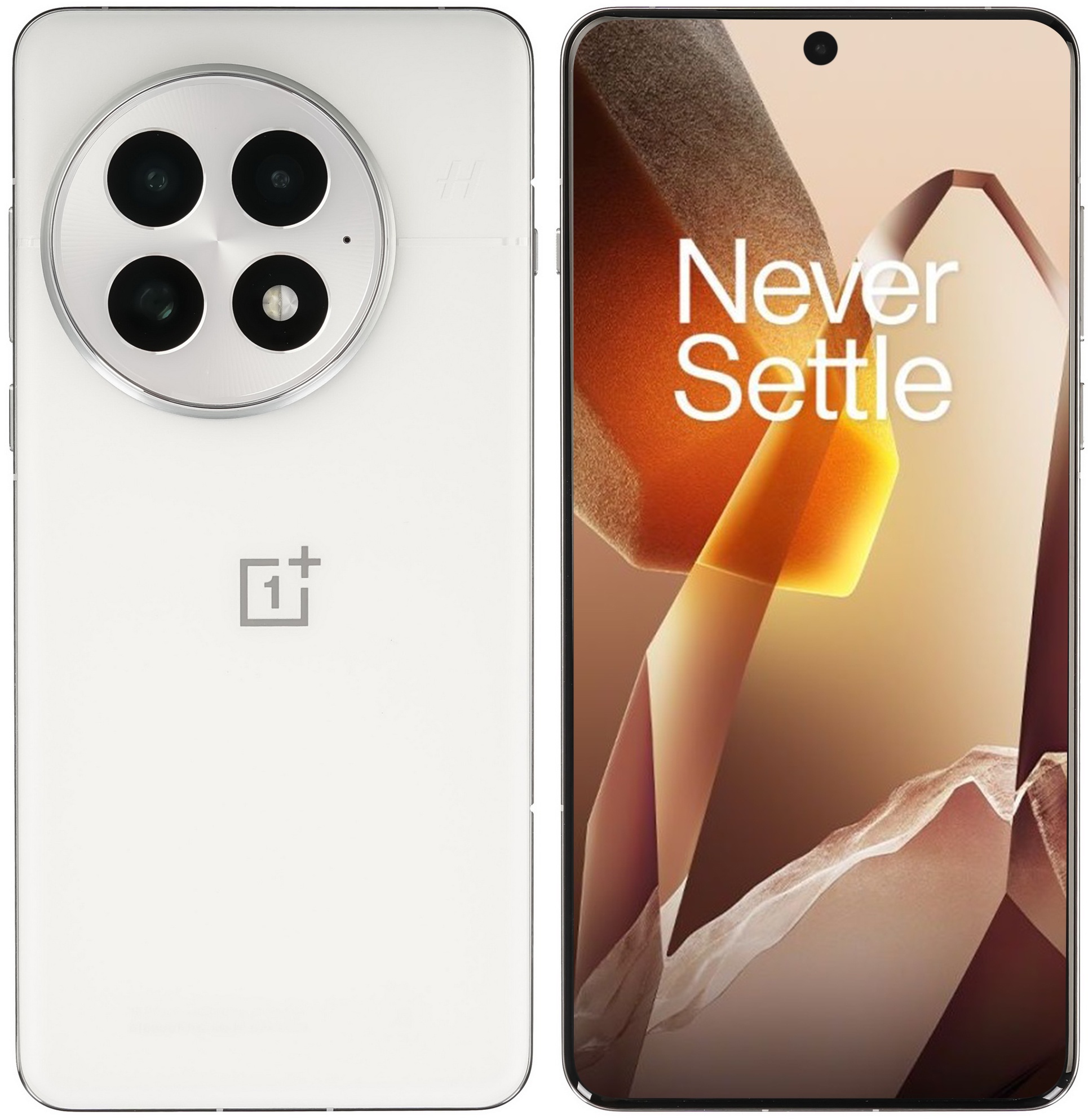 Смартфон OnePlus 13 512 ГБ белый 6.82" ядер - 8x(4.32 ГГц), 16 ГБ, 2 SIM, AMOLED, 3168x1440, камера